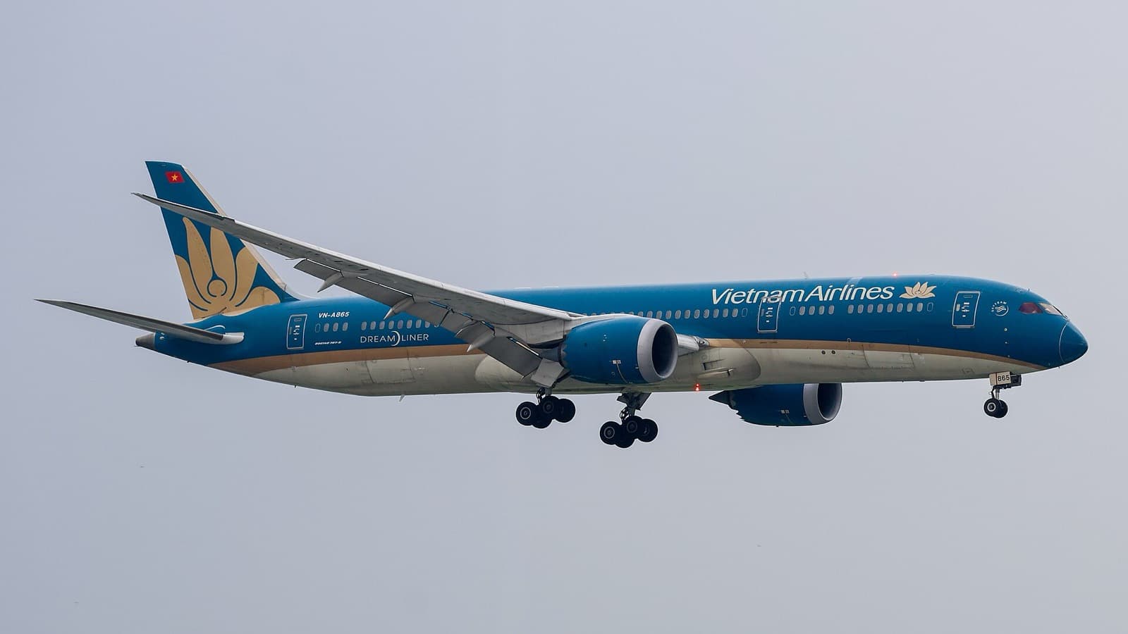 Boeing 787-9 Vietnam Airlines с выпущенными шасси заходит на посадку в аэропорт Таншоннят